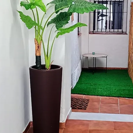 Casa Fluri Appartement